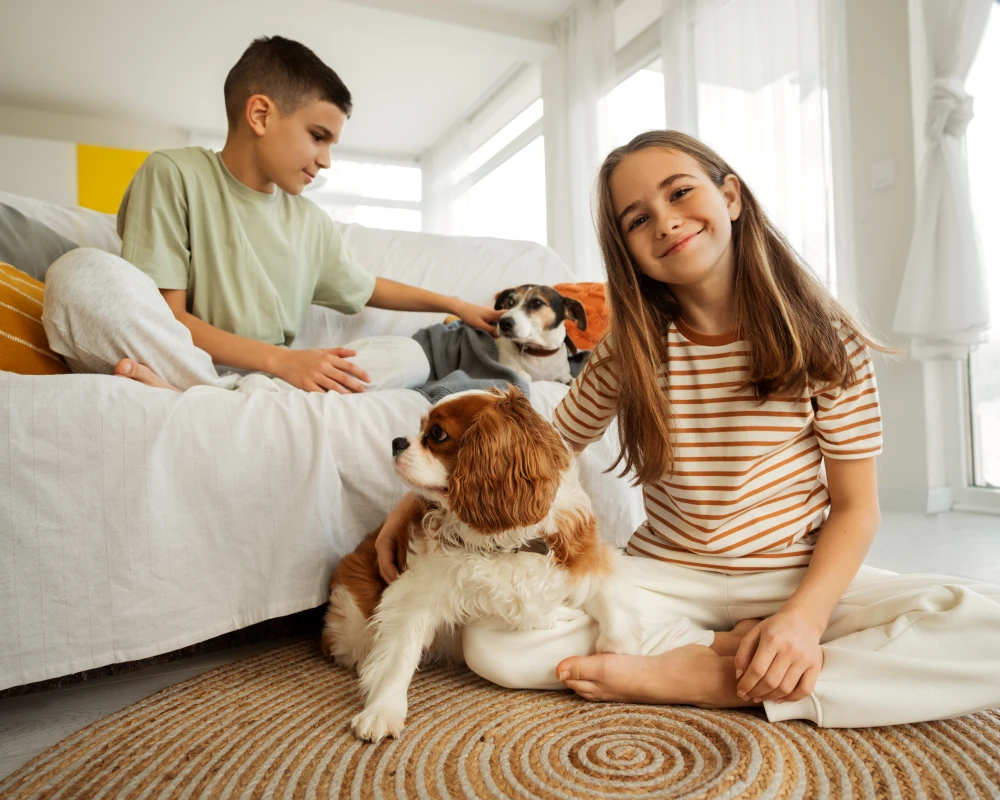 The Future of Pet Care: Embracing Technology with the Animal Planet Automatic Pet Feeder