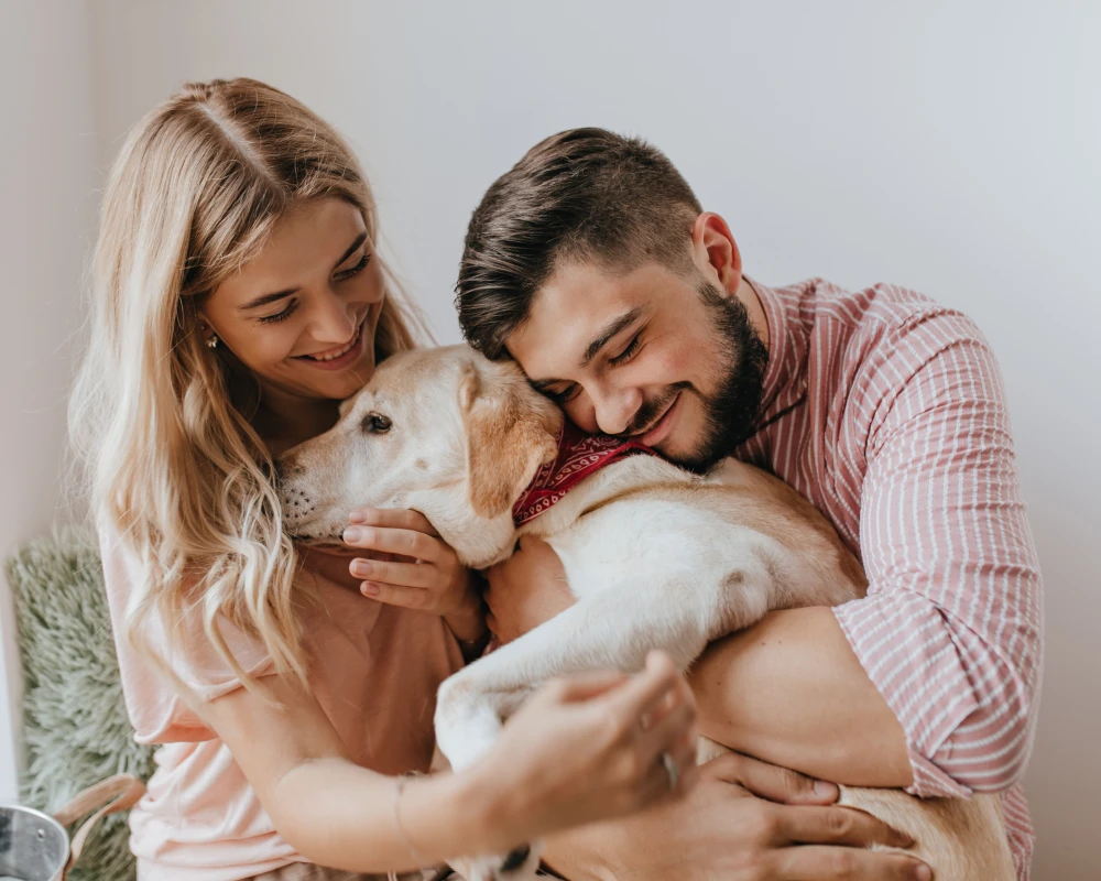 Finding Your Perfect Match: The Best Automatic Dog Feeder for Effortless Pet Care