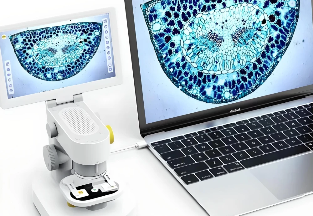 Empower Your Scientific Curiosity: A Guide to Choosing a Student Microscope