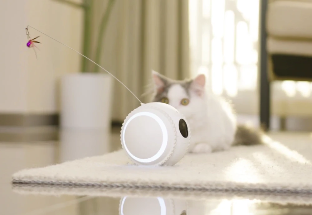 Discover the Magic of Pet Interaction with the Best Interactive Pet Camera