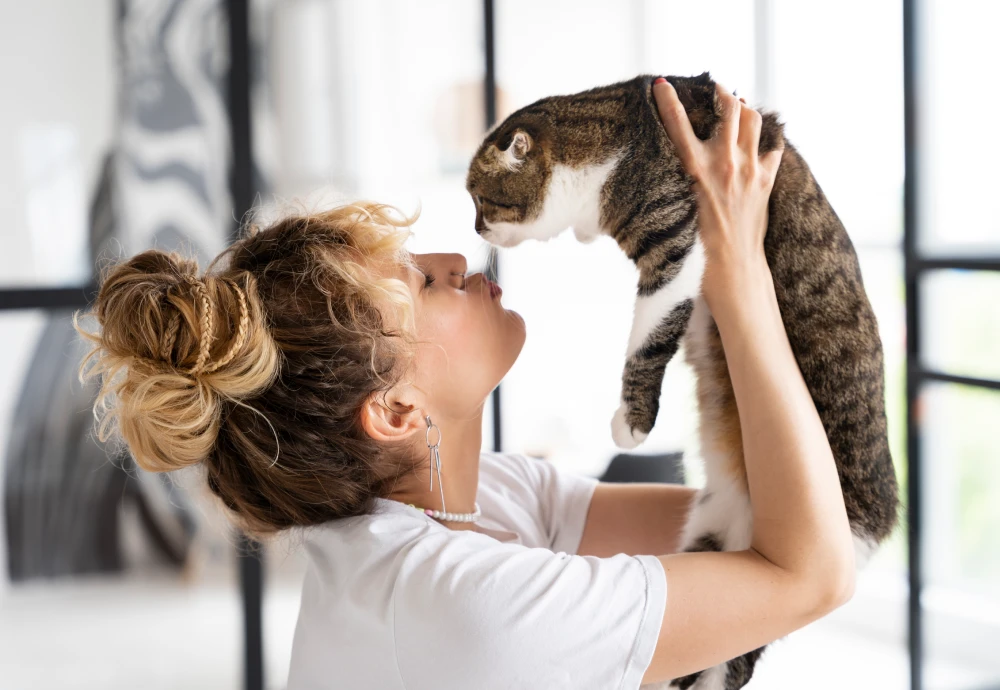 Your Ultimate Companion: The Camera to Keep an Eye on Pets