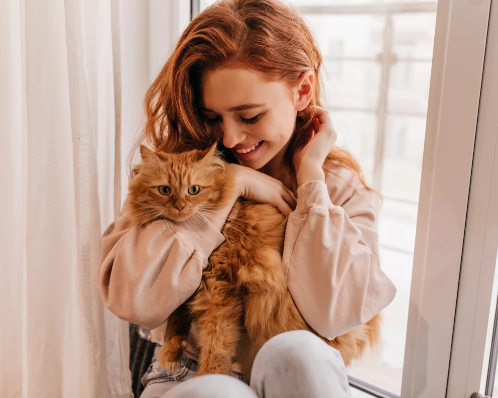Nurturing Your Furry Friends with the Automatic Pet Feeder and Water Dispenser