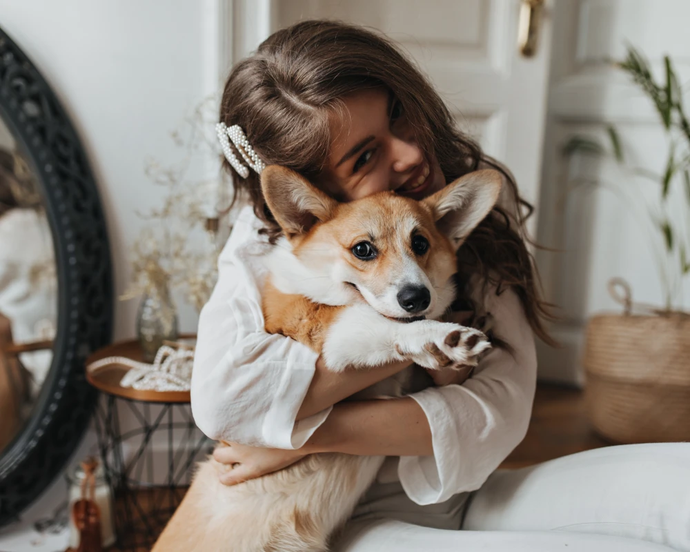 Navigating the World of Automatic Pet Food Dispensers