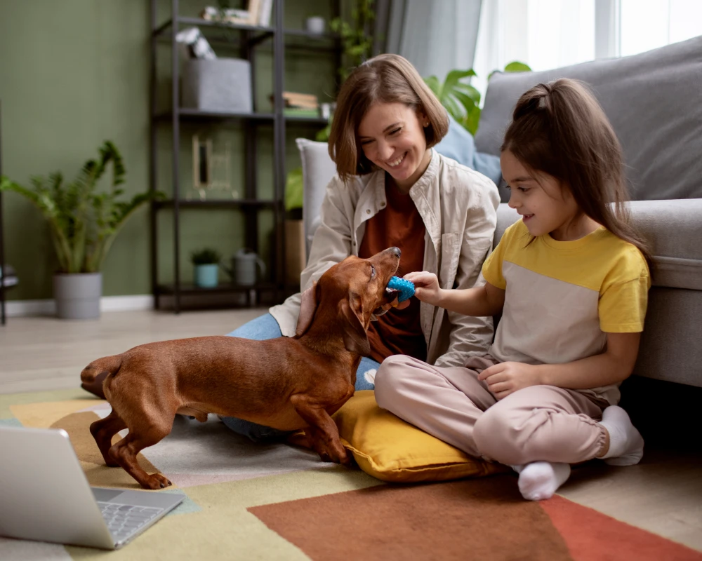 The Future of Pet Care: Embrace the Efficiency of a Pet Automatic Water Feeder